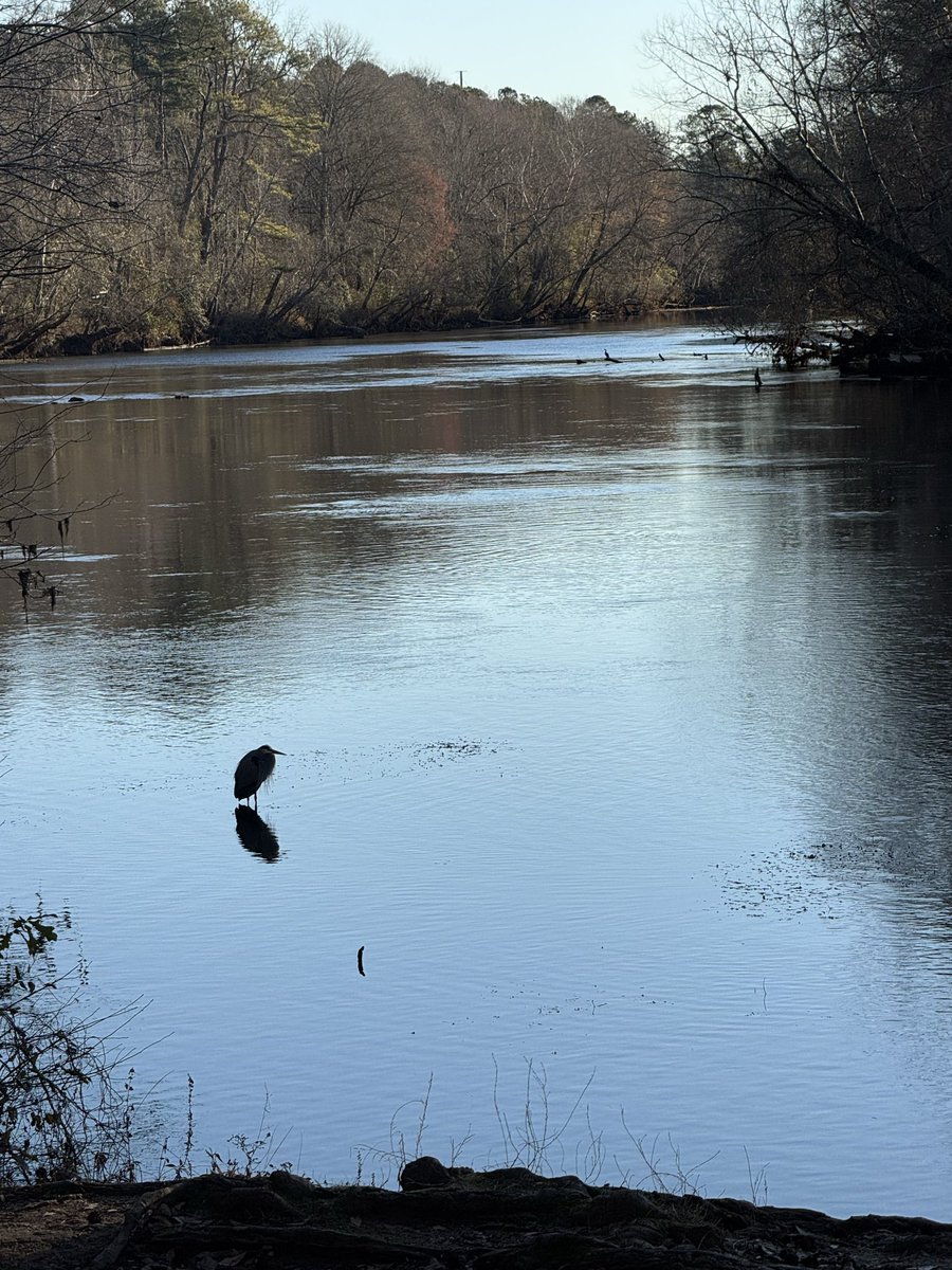 F3Swagger tweet media