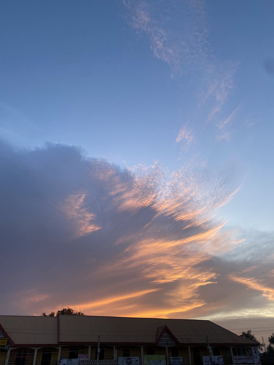 EdithOgbuagu's tweet image. Yes, there is.

Frame 1: Oke-ado, Oyo state
Frame 2: Erin-Ijesha, Osun state 
Frame 3: Odim hill, Enugu state
Frame 4: Jos, Plateau state

Unedited photos from my lens🇳🇬