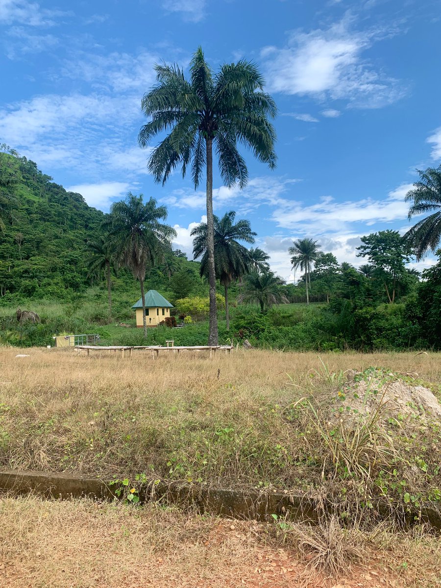 EdithOgbuagu's tweet image. Yes, there is.

Frame 1: Oke-ado, Oyo state
Frame 2: Erin-Ijesha, Osun state 
Frame 3: Odim hill, Enugu state
Frame 4: Jos, Plateau state

Unedited photos from my lens🇳🇬