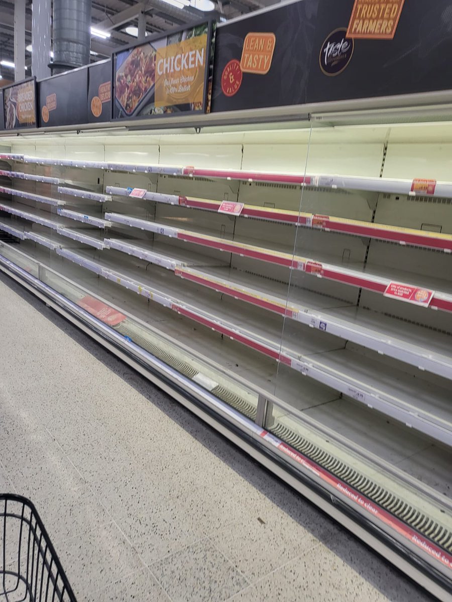 June Slater tweet media