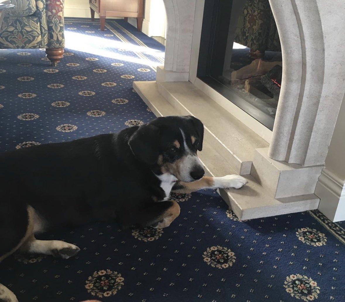 Dirk-Jan Drost tweet media