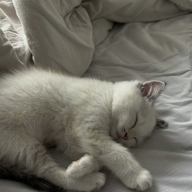 phuwijn's tweet image. 