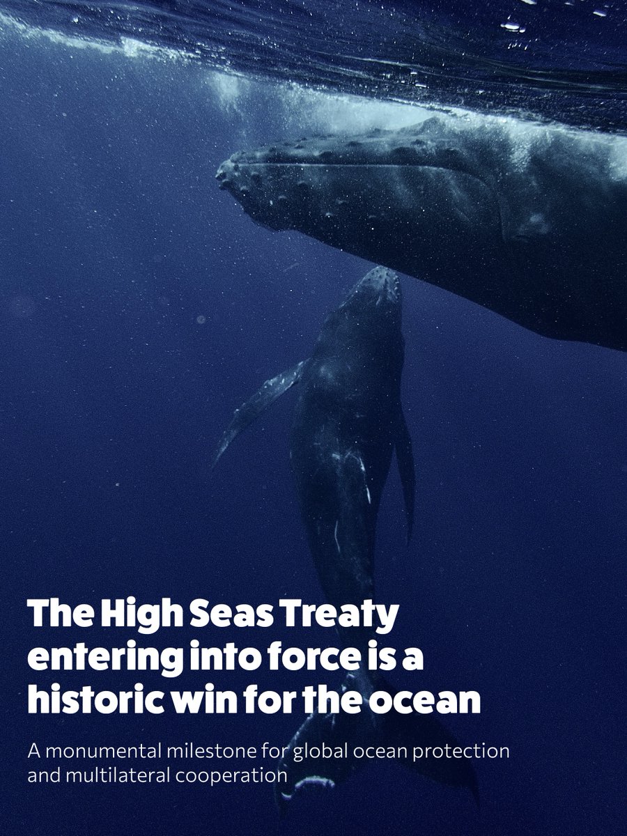 ReviveOurOcean's tweet photo. 🌊 #HighSeasTreaty entering into force is a historic win for the ocean
#ReviveOurOcean celebrates this milestone in offshore waters while focusing our efforts closer to home in #territorialseas, contributing to #30x30 through the power of no-take MPAs
https://t.co/ueG3uMHr9S https://t.co/YNhKfw9BDx