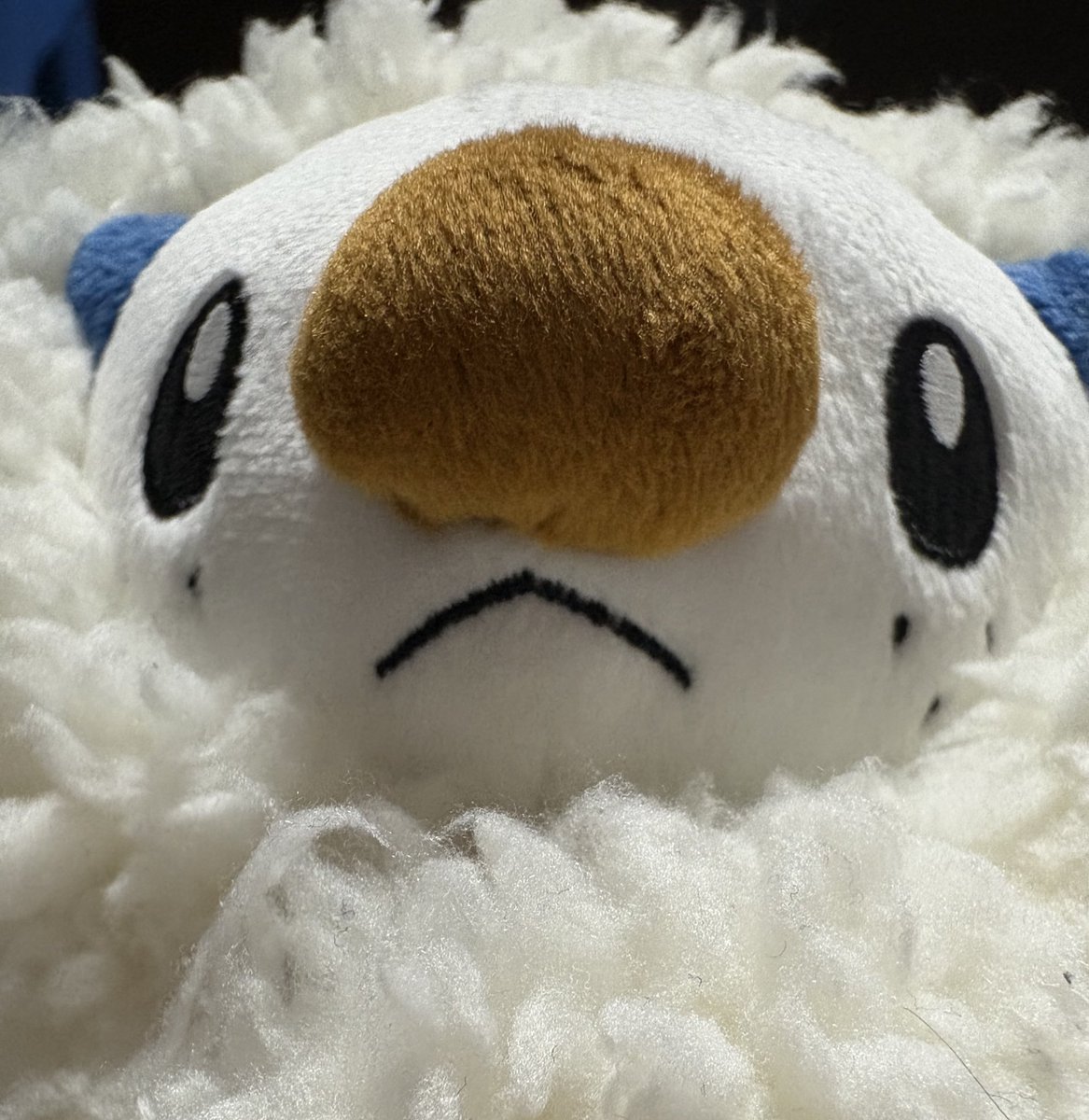 ミジュマルといっしょちゃんねる (@nuinui1103) on Twitter photo 