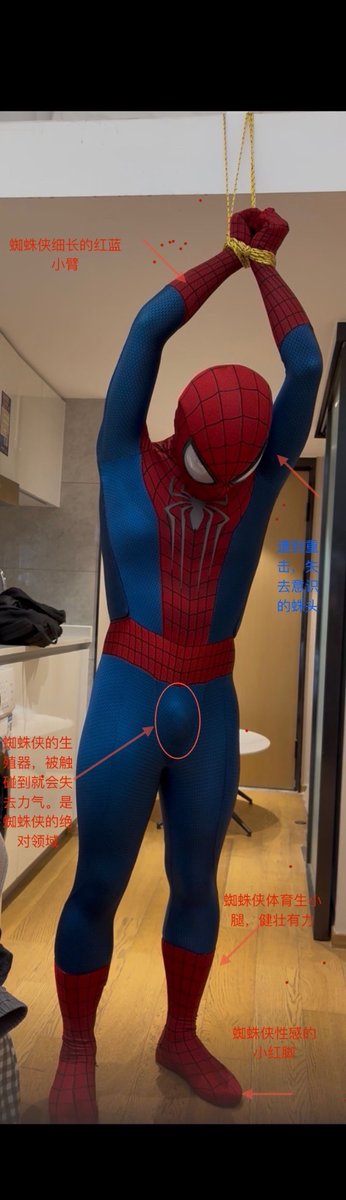 SpiderHangZhou tweet media