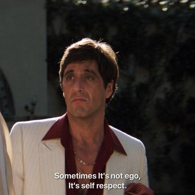 Stephen Gibbons tweet media