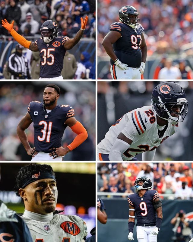 BearsShowYo tweet media