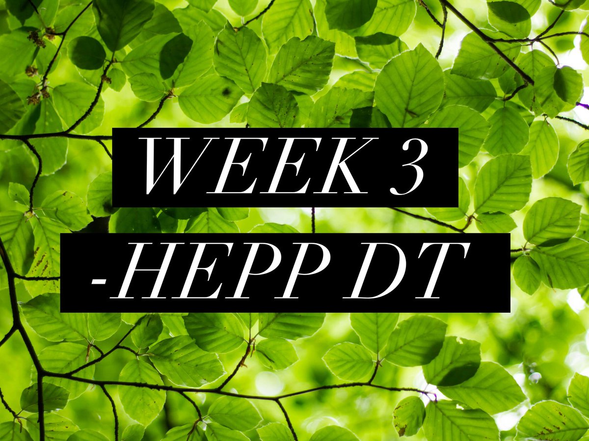 Hepp DT - Design & Technology for primary schools tweet media