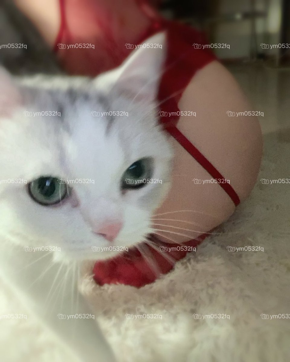 青岛夫妻妍美 tweet media