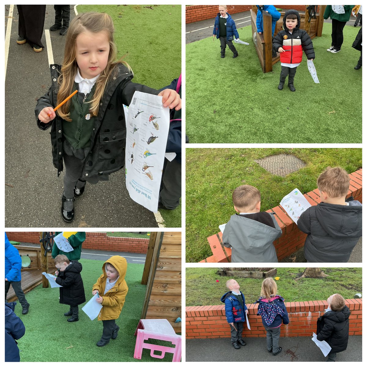 Ivy Bank Primary tweet media