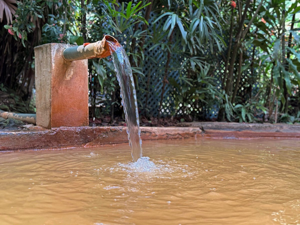 DINE and Destinations tweet media