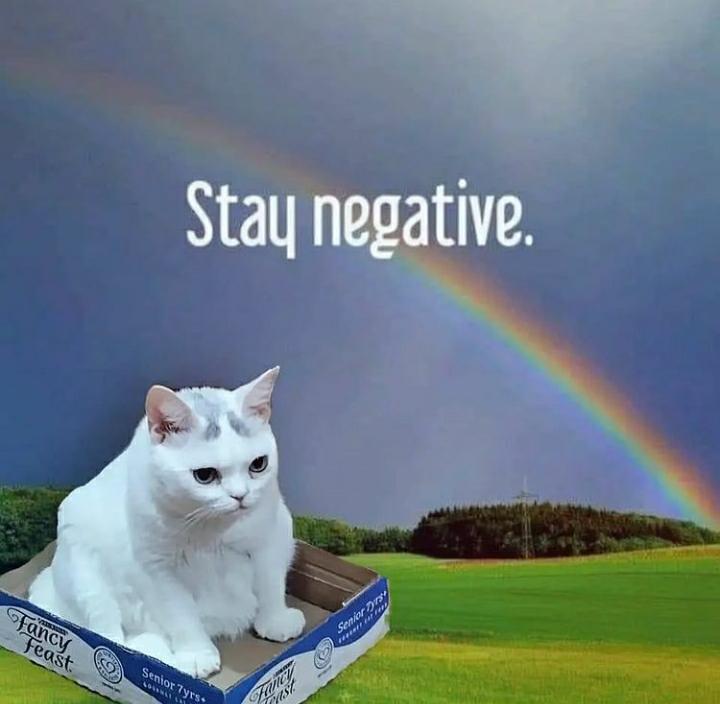 ⨟ 𝘼𝙢𝙖𝙣𝙙𝙖⑰ tweet media