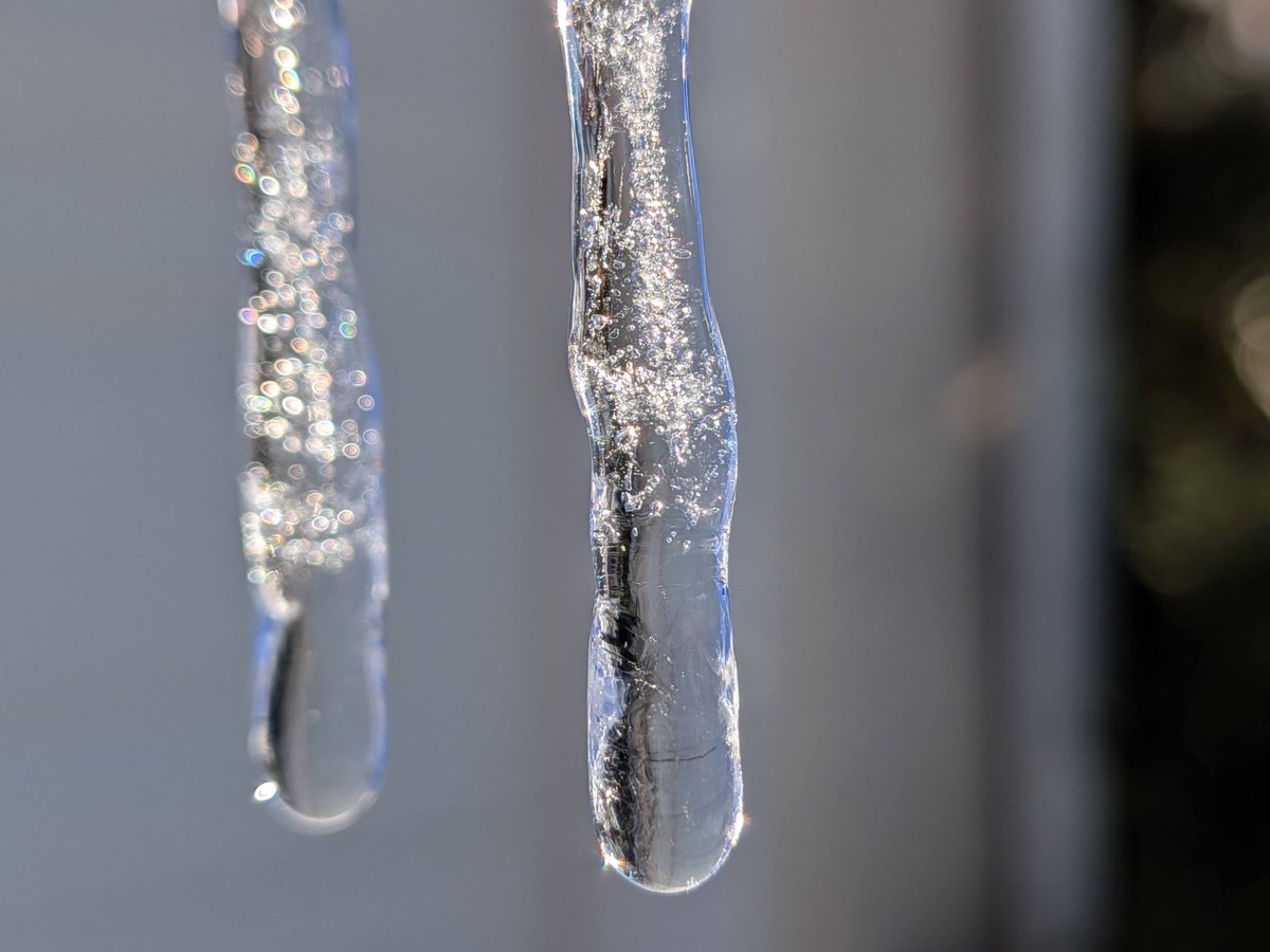 LBPHeretic's tweet image. People need to stop calling the @madebygoogle Pixel 10 (and Pixel 9a) camera a downgrade. Yeah, on paper, maybe, but I still get excellent shots as you see with these icicle macros. I love the results. #GooglePixel. #TeamPixel. #PixelSuperFans. #ShotOnPixel. #Pixel9a. #Pixel10.