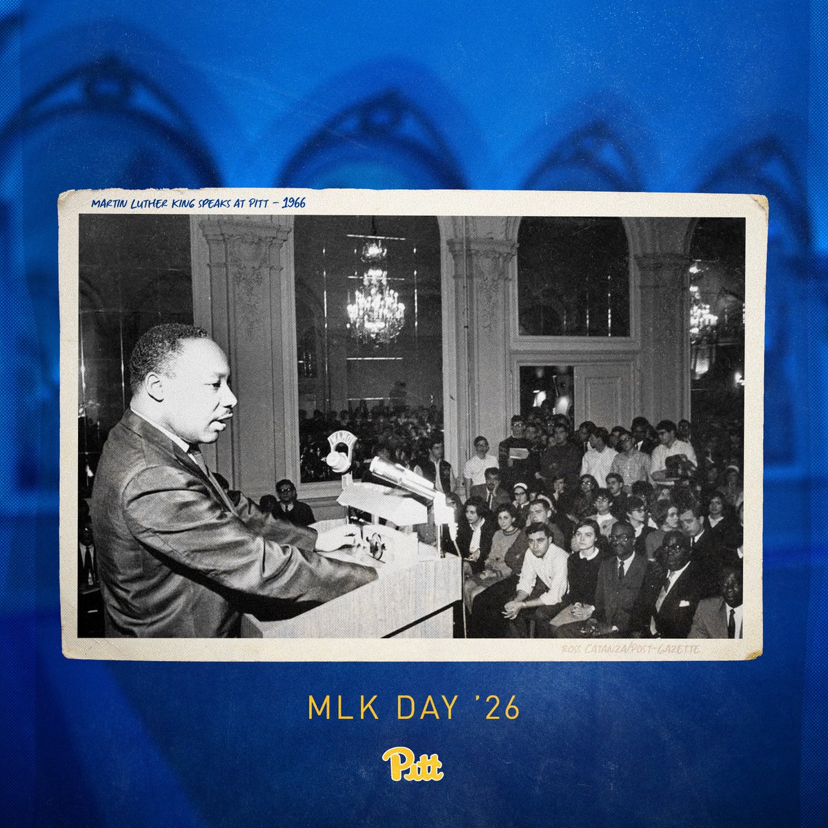 Pitt Panthers tweet media