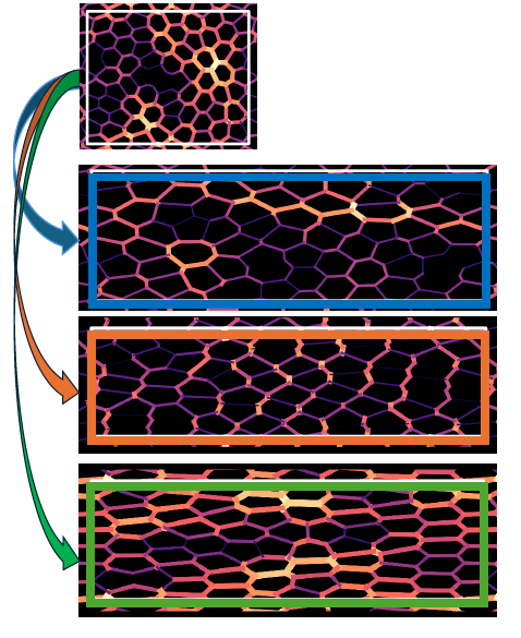 U of T Physics tweet media