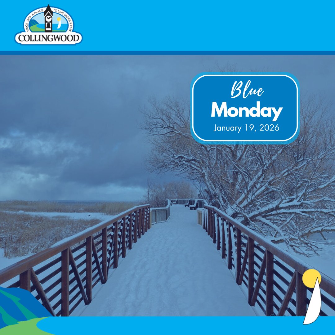 Town of Collingwood tweet media