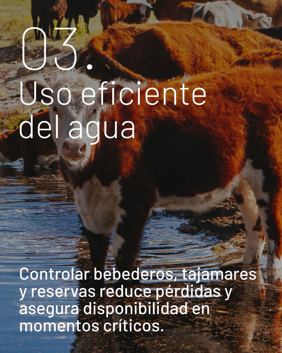 Progan - Productores Ganaderos del Uruguay tweet media