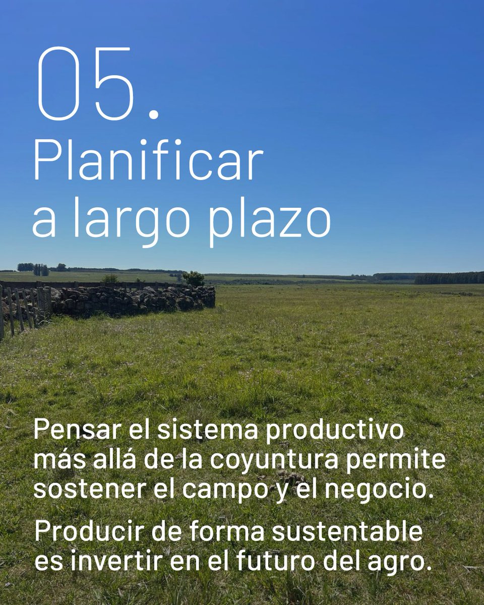 Progan - Productores Ganaderos del Uruguay tweet media