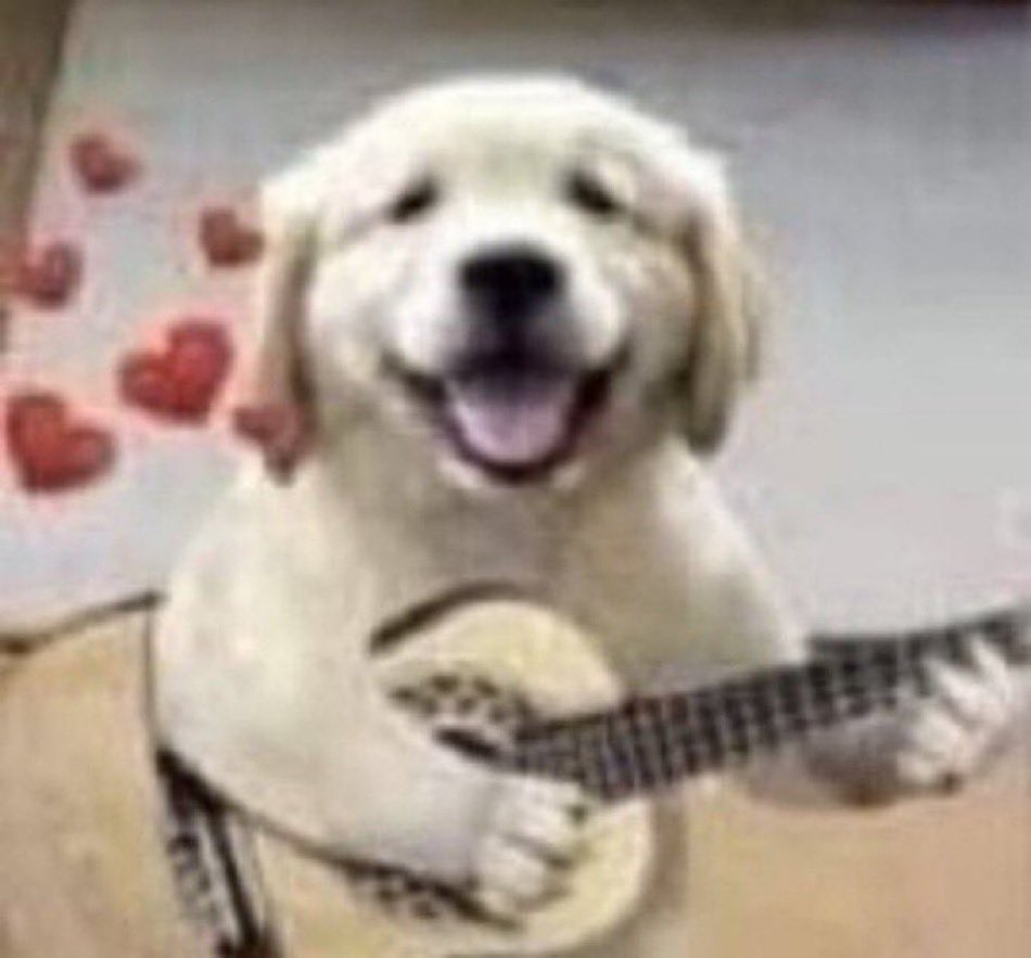 capitaododoi's tweet image. se fossemos um país de verdade o SISU soltava parcial a cada 5 minutos