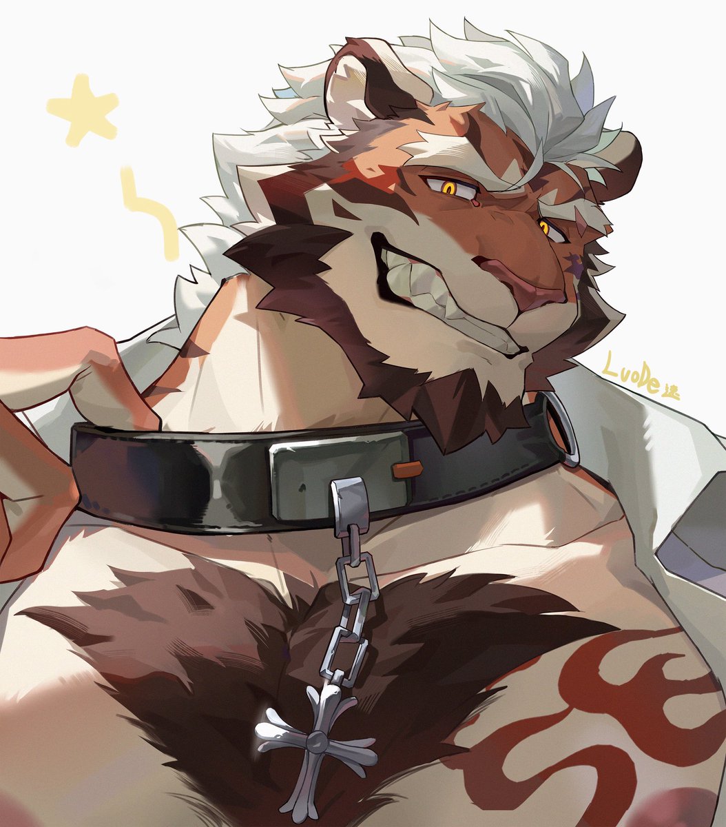 大罗德 tweet media