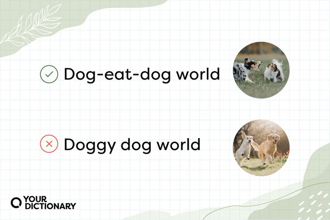 ofbirp's tweet photo. Those who say "doggy dog world" are clearly imagining a dog park, not competition. The real world doesn't share blankets; it bares its teeth over food bowls. A cute mistake, a ruthless truth: the world is still dog-eat-dog. #english #eggcorn https://t.co/50jeg3s7IE