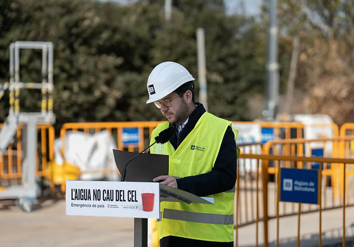 Es veu que al final sí que en queia, d'aigua del cel