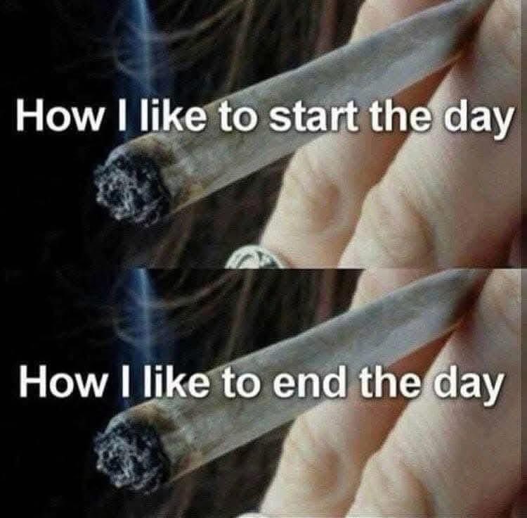 420matt9191's tweet image. 