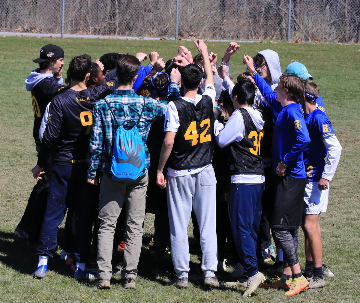 Pittsburgh Ultimate tweet media