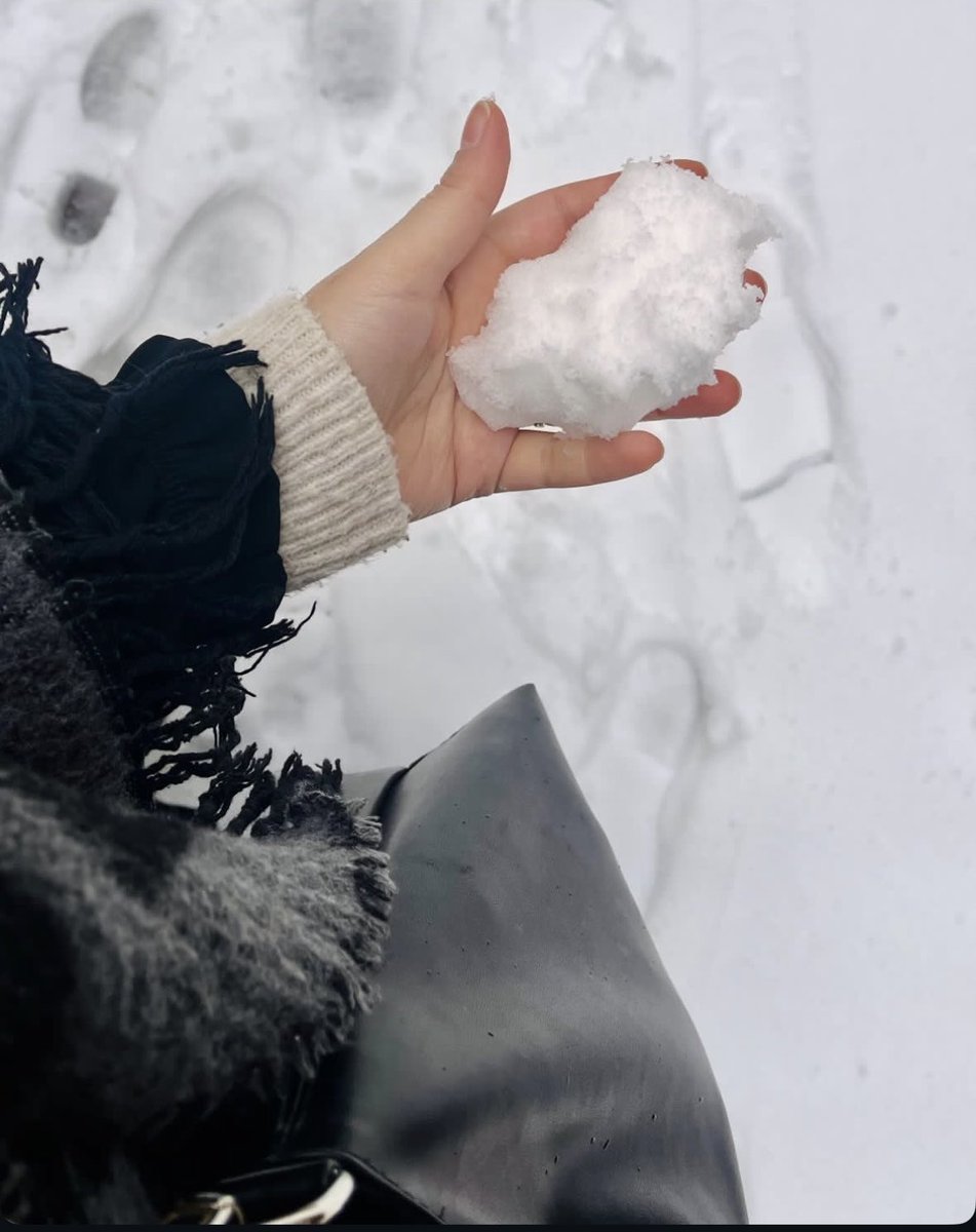“Bir avuç kış❄️🤍”
#karyağışı