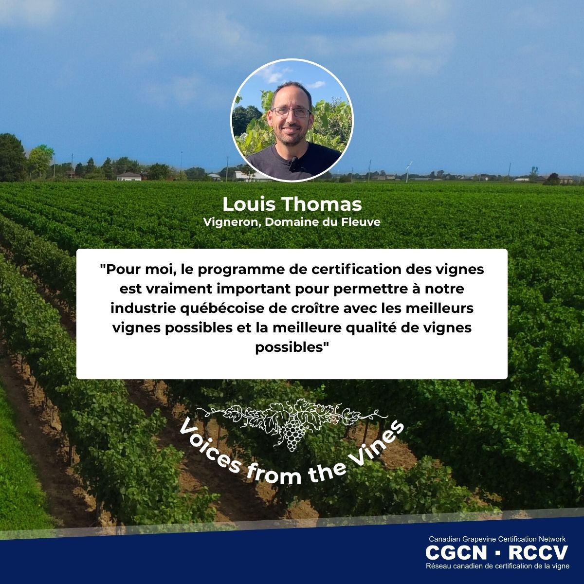 Canadian Grapevine Certification Network tweet media