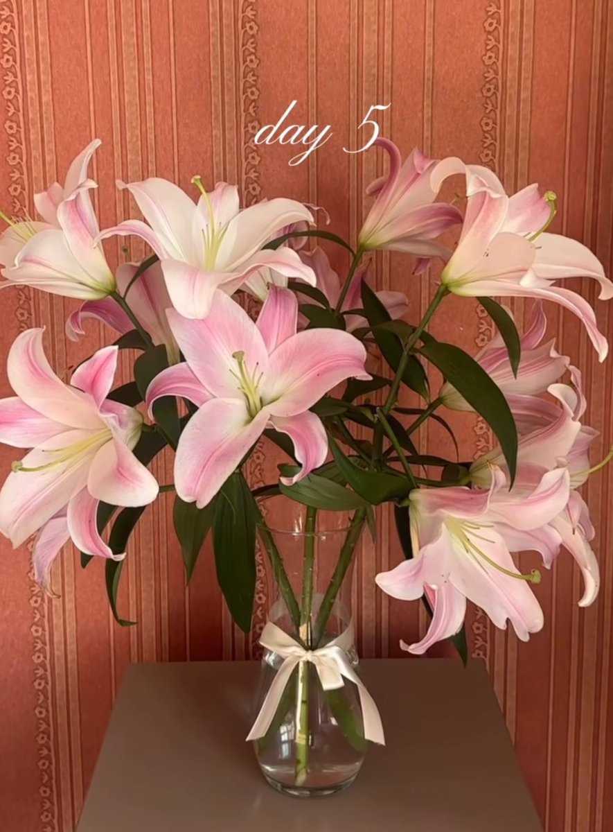 1leio's tweet photo. Day 1                                      Day 5 https://t.co/xExaWyv3Bf
