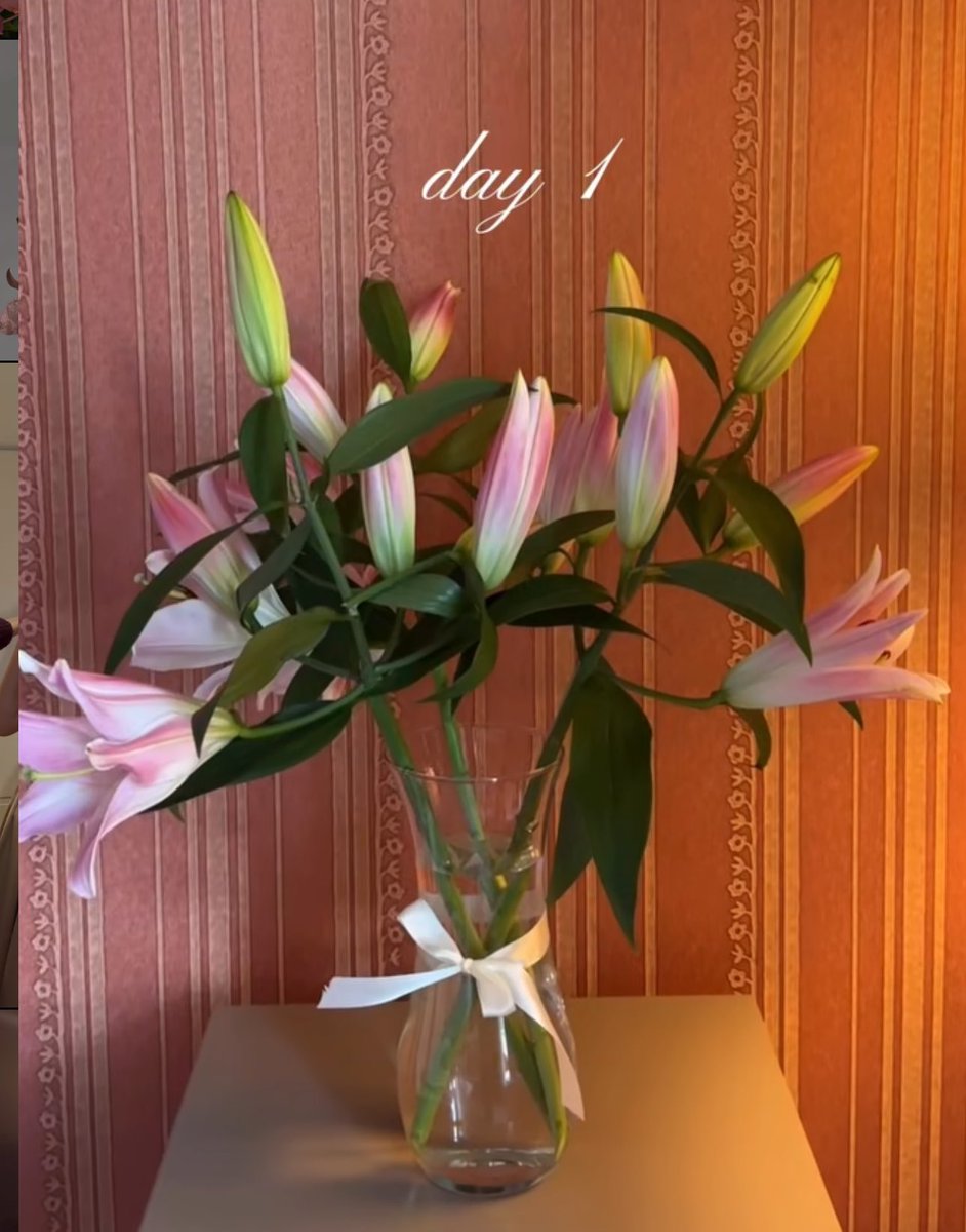 1leio's tweet photo. Day 1                                      Day 5 https://t.co/xExaWyv3Bf