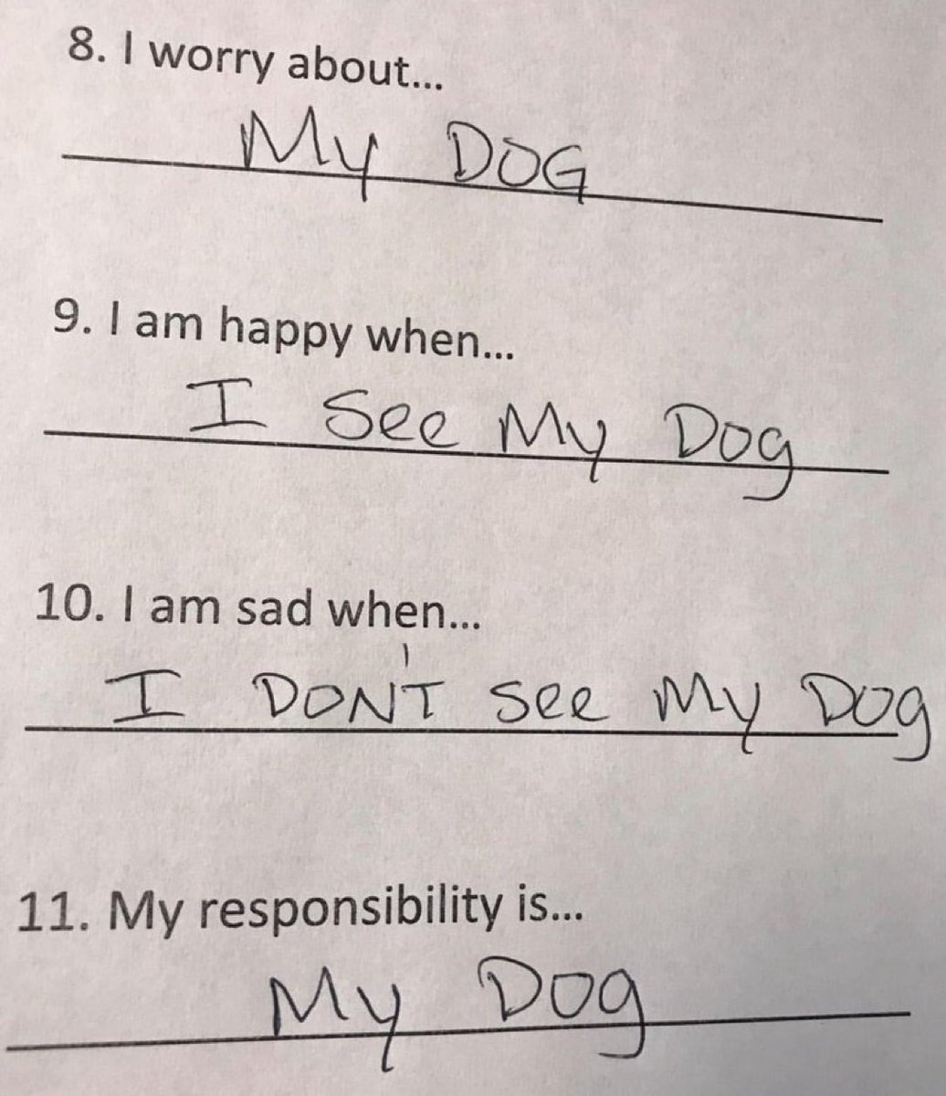 Puppies 🐶 (@puppiesiover) on Twitter photo 