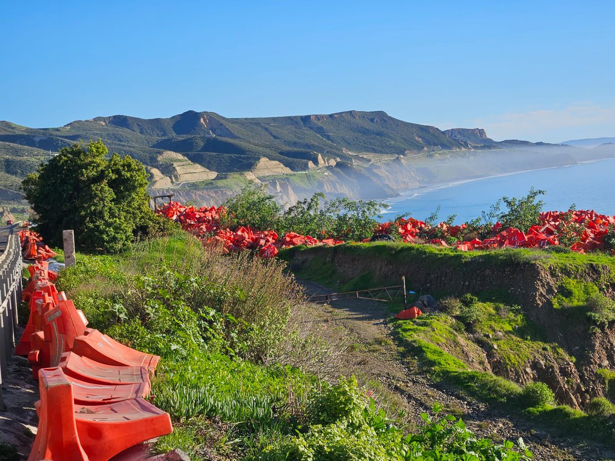 Jaime Chan  tweet media