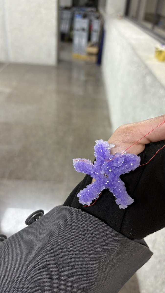 Alaa Waseem | آلاء وسيم tweet media