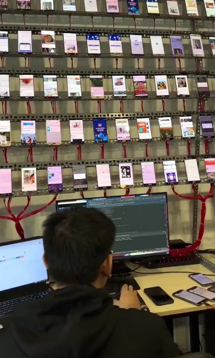 INTERNET BUG tweet media