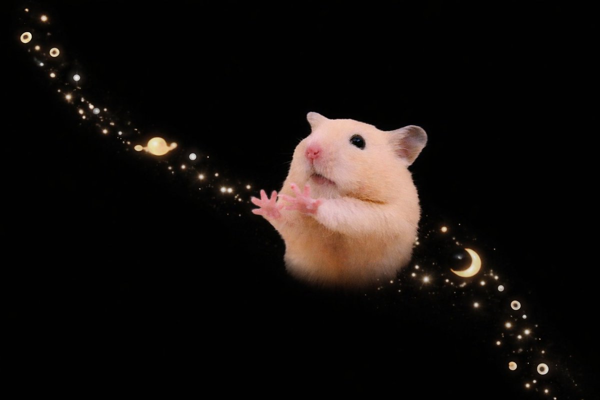 ∴｡　
　･ﾟ*｡. 
　　･ *ﾟ
　 ･ ﾟ*
     🪐     
   *･｡
      *.｡ 
           ✨
              °*. ﾟ｡
                      °*.
                      ﾟ*.
                 🌙 ･
             ｡ ･ﾟ
       ｡°*.
    ｡*･｡