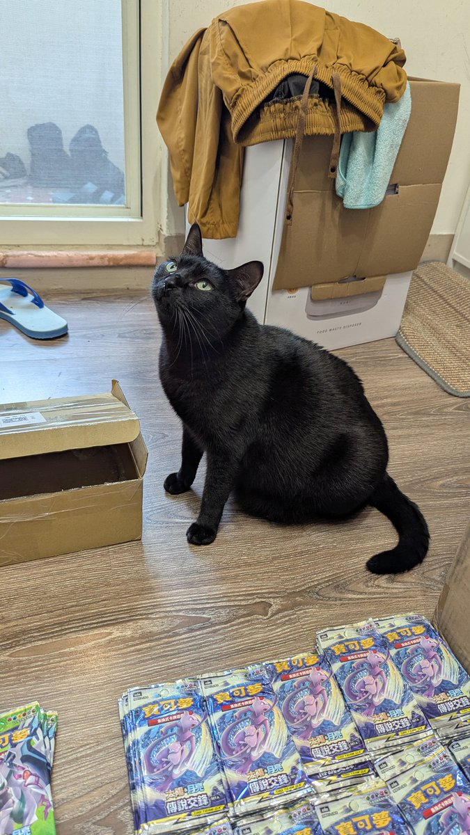 雞腿🍗月月 tweet media