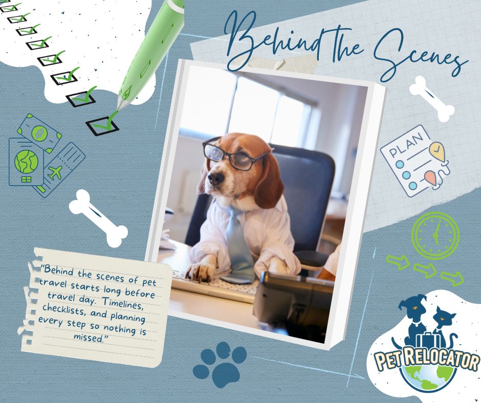 PetRelocator's tweet photo. Pet travel starts long before travel day. Behind the scenes, it’s all about timelines, checklists, and careful planning to make sure nothing is missed. Every detail matters when pets are on the move, and this prep work is what helps ensure a smooth, stress-free journey. https://t.co/CveWCGrxKK
