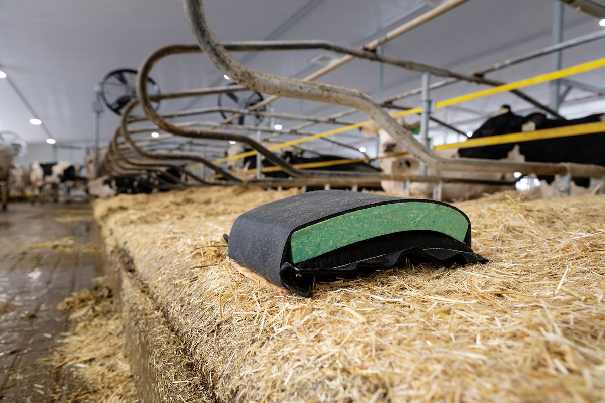 Promat Inc. tweet media