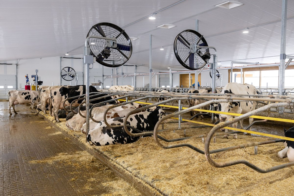 Promat Inc. tweet media