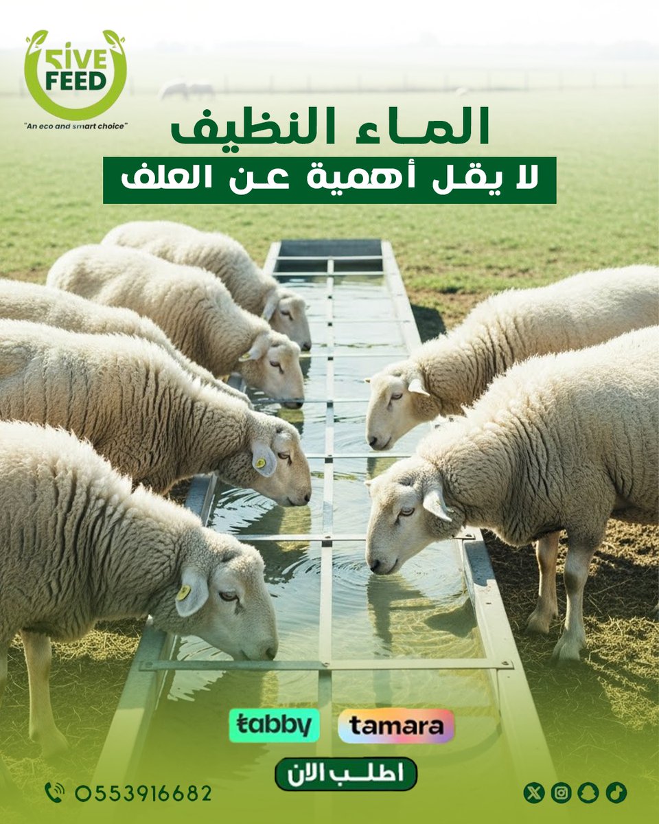 شركه فايف فييد لتجاره الاعلاف بخدمتكم 
📲0553916682
#اعلاف_الامارات_فايف_فيد 
#اعلاف #اعلاف_الامارات #أعلاف_الإمارات #اعلاف_الامارات_ابوظبي