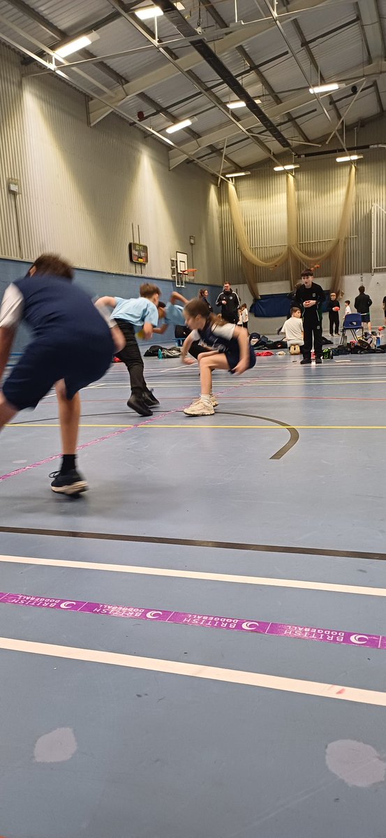 William Gilbert tweet media