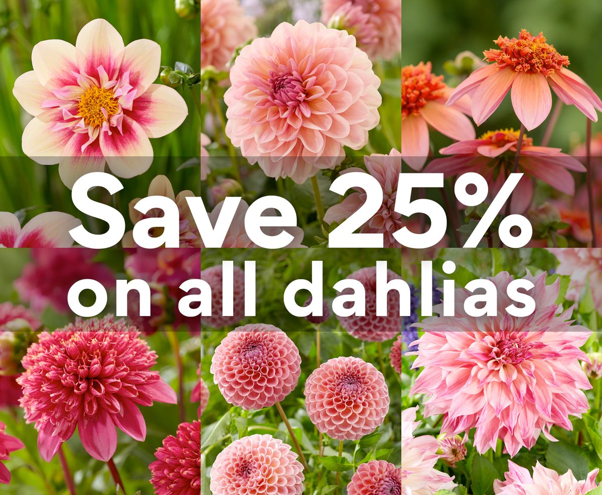 Farmer Gracy tweet media