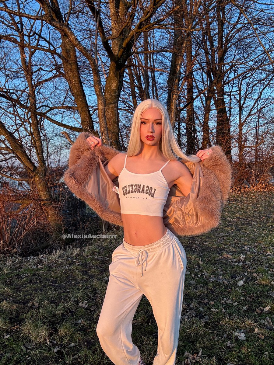 Alexis Auclair tweet media