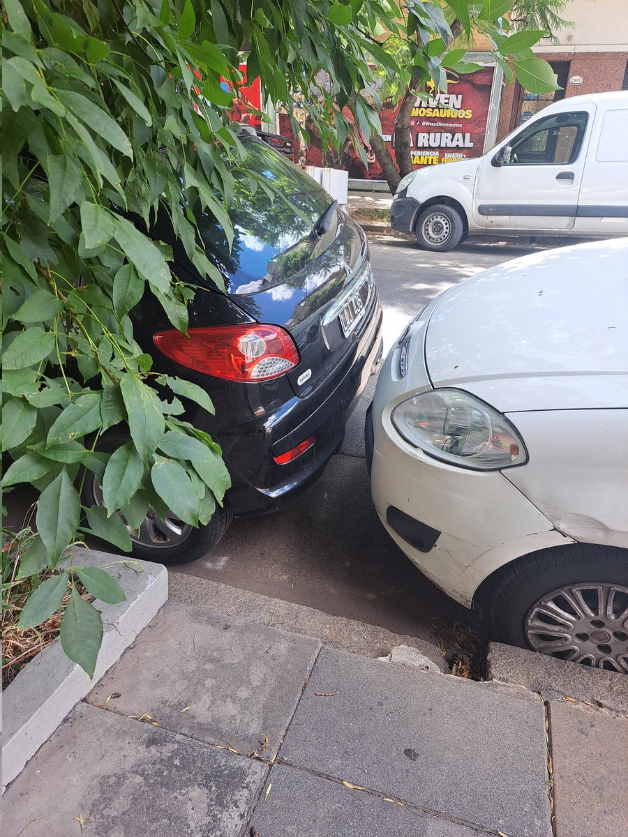 Yo no soy una persona que se destaque por sus habilidades al volante, y lo reconozco. Pero me explican cómo carajo saco el auto de acá?