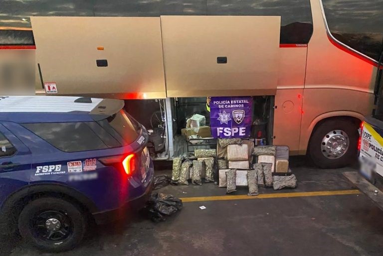 Asegura Policía Estatal de Caminos más de 38 mil dosis de ...