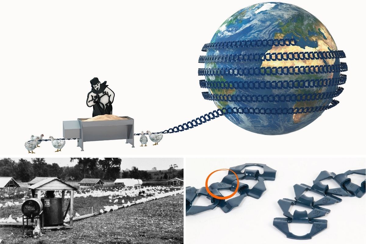 Big Dutchman International tweet media