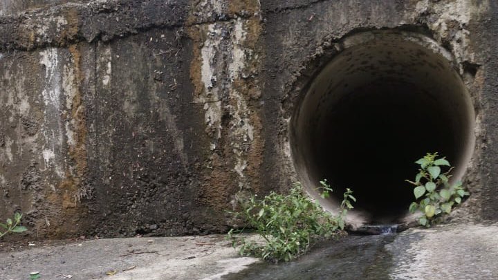 #Manabí | Efectuamos un control en el cantón Paján por presuntos vertidos de aguas contaminadas a ríos y cuerpos de agua, en cumplimiento de la normativa vigente. Actuamos para prevenir daños ambientales y cuidar el agua de la que dependen las familias. #ElNuevoEcuador
