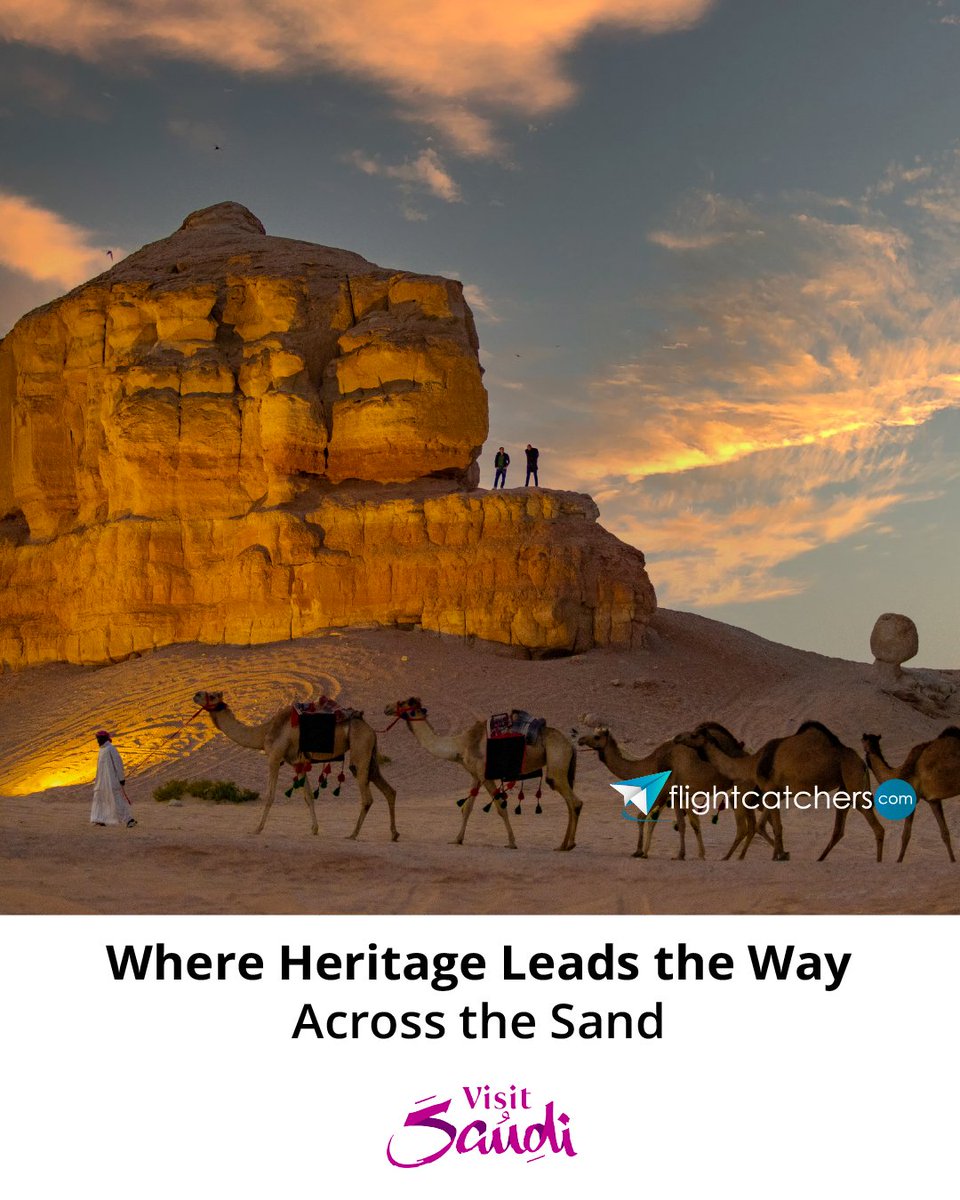 Where heritage leads the way.
Explore the magical landscapes of AlUla.
📍 AlUla – Saudi Arabia’s ancient treasure
🏛️ Heritage sites that tell stories
🌅 Breathtaking desert vistas
👉 Visit flightcatchers.com for more!

#Flightcatchers #VisitSaudi #AlUla #SaudiWonders